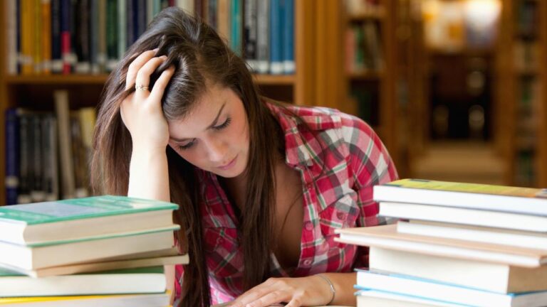 Student visa fee increase